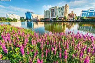 503 Palmtree Drive #1, Gaithersburg, MD 20878 - Photo 24