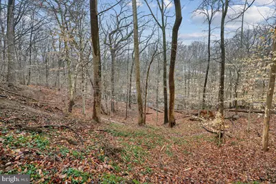 700 Chaney Drive, Takoma Park, MD 20912 - Photo 8