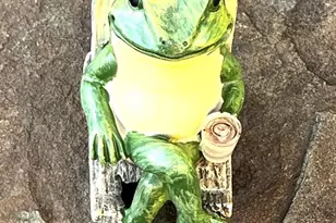 11321 College View Dr, Silver Spring, MD 20902 - Photo 56