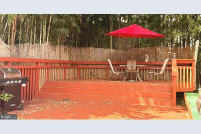 11321 College View Drive, Silver Spring, MD 20902 - Photo 50