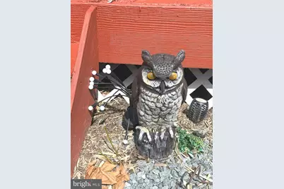 11321 College View Drive, Silver Spring, MD 20902 - Photo 48