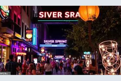 11321 College View Drive, Silver Spring, MD 20902 - Photo 76