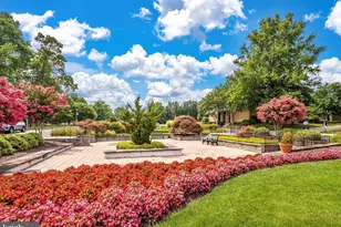 15115 Interlachen Dr, Silver Spring, MD 20906 - Photo 30