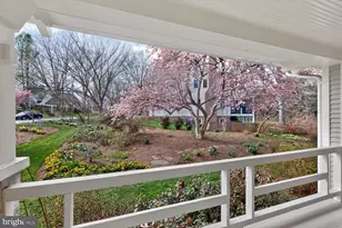 3927 Washington St, Kensington, MD 20895 - Photo 14