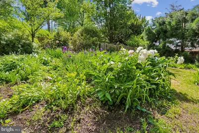 6404 Western Avenue, Chevy Chase, MD 20815 - Photo 94