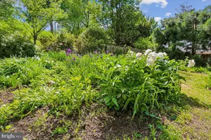 6404 Western Ave, Chevy Chase, MD 20815 - Photo 94