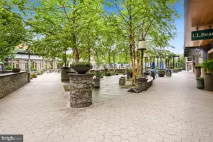 11419 Commonwealth Dr, Rockville, MD 20852 - Photo 52