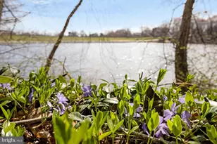 801 Linslade St, Gaithersburg, MD 20878 - Photo 76