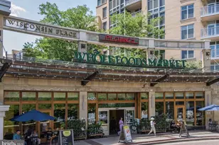 4716 Merivale Rd, Chevy Chase, MD 20815 - Photo 48