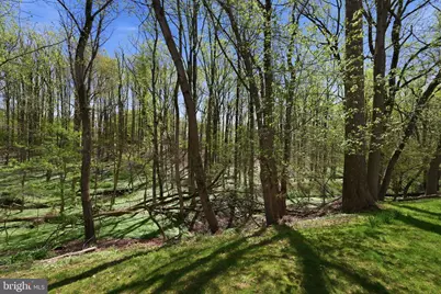 7 Bentley Court, Rockville, MD 20850 - Photo 34