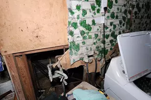 1212 Allison Dr, Rockville, MD 20851 - Photo 76