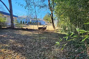 1212 Allison Dr, Rockville, MD 20851 - Photo 22