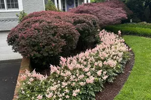 5602 Ogden Rd, Bethesda, MD 20816 - Photo 2