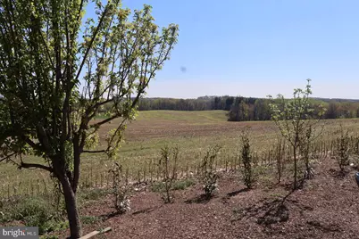 10500 Moxley Road, Damascus, MD 20872 - Photo 10