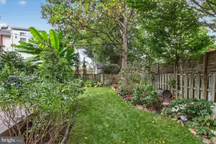 203 Baden St, Silver Spring, MD 20901 - Photo 42