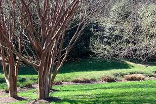 11315 Commonwealth Dr, Rockville, MD 20852 - Photo 20