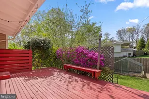 14606 Westbury Rd, Rockville, MD 20853 - Photo 26