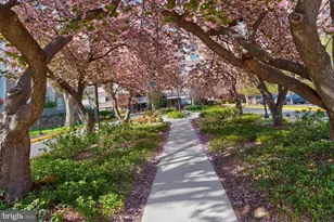 4977 Battery Ln, Bethesda, MD 20814 - Photo 28