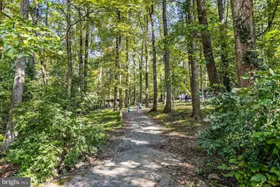 5343 Pooks Hill Road #403-53, Bethesda, MD 20814 - Photo 30