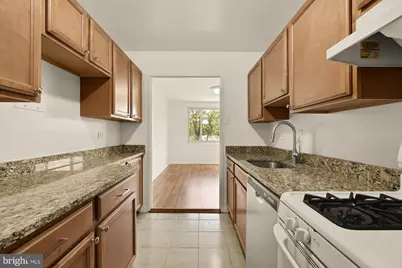 1900 Lyttonsville Road #818, Silver Spring, MD 20910 - Photo 18
