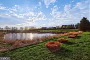 401 Hilton Head Ct, Ashton, MD 20861 - Photo 72