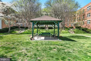 2211 Washington Ave, Silver Spring, MD 20910 - Photo 28