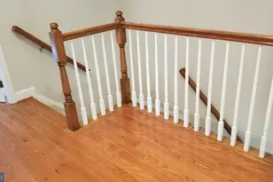 523 Pelican Ave, Gaithersburg, MD 20877 - Photo 14