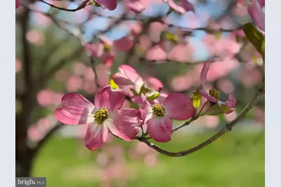 12929 Esworthy Road, North Potomac, MD 20878 - Photo 6