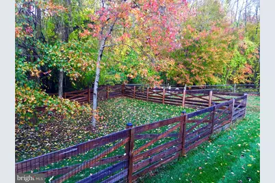 14008 Loblolly Terrace, Rockville, MD 20850 - Photo 32