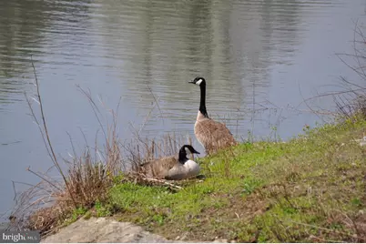 14008 Loblolly Terrace, Rockville, MD 20850 - Photo 30