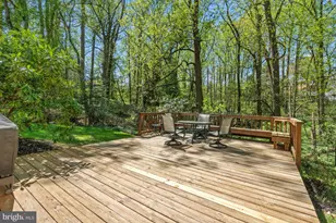 8224 Kerry Ct, Chevy Chase, MD 20815 - Photo 28