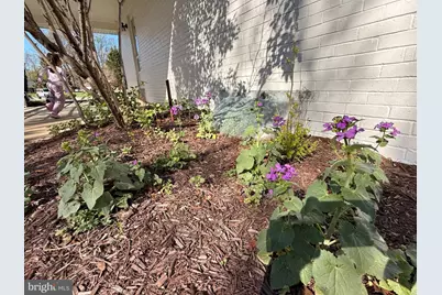 16725 Frontenac Terrace, Derwood, MD 20855 - Photo 12