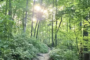 15309 Hannans Way, Rockville, MD 20853 - Photo 48