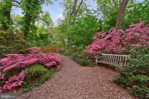 713 Brandon Green Dr, Silver Spring, MD 20904 - Photo 50