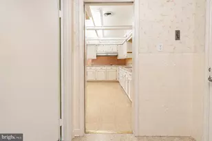 14607 Peach Orchard Rd, Silver Spring, MD 20905 - Photo 34