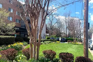 4800 Chevy Chase Dr, Chevy Chase, MD 20815 - Photo 2