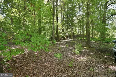 11815 Beekman Place, Potomac, MD 20854 - Photo 56