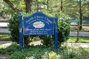 139 Hesketh St, Chevy Chase, MD 20815 - Photo 54