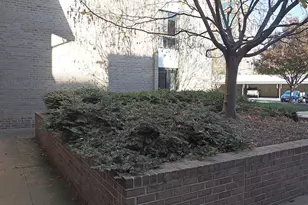 10 Monroe, Rockville, MD 20850 - Photo 16