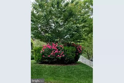 4400 Elm Street, Chevy Chase, MD 20815 - Photo 64