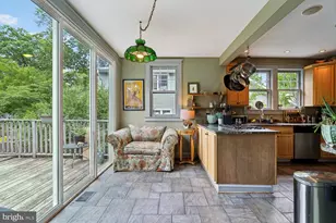 254 Park Ave, Takoma Park, MD 20912 - Photo 16