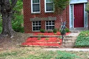 11339 Baroque Rd, Silver Spring, MD 20901 - Photo 1
