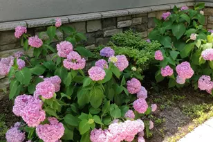9814 Fernwood Rd, Bethesda, MD 20817 - Photo 4