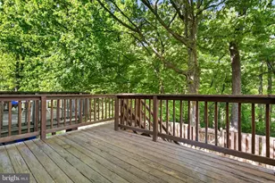 3810 Angelton Ct, Burtonsville, MD 20866 - Photo 14