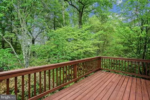 8516 Thornden Terrace, Bethesda, MD 20817 - Photo 36