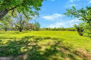 5301 Brookeville Rd, Gaithersburg, MD 20882 - Photo 22