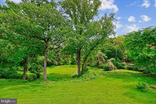 10029 Pratt Pl, Silver Spring, MD 20910 - Photo 4