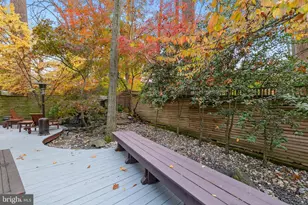 6312 Massachusetts Ave, Bethesda, MD 20816 - Photo 12