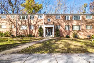 10412 Montrose Ave, Bethesda, MD 20814 - Photo 18