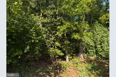 607 Concerto Lane, Silver Spring, MD 20901 - Photo 34